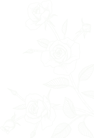 Rose Background Image